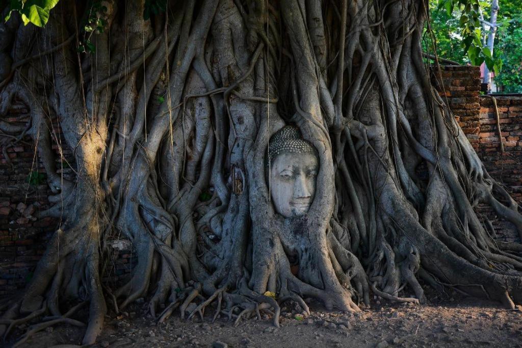 OYO 384 Ban Sabaidee Hotel Ayutthaya Bagian luar foto